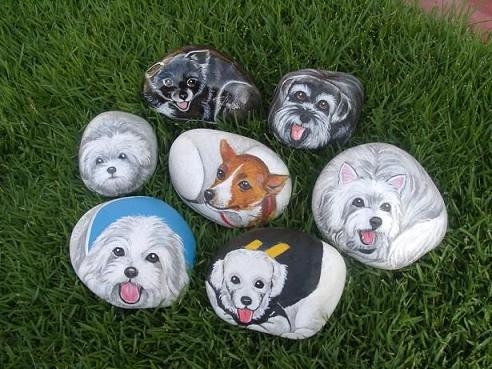 Piedras perros